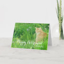 Recherche de félicitations de chat vœux cartes Amoureux des chats