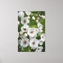 Suche nach stilvoll leinwandbilder Blume