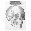 Suche nach anatomie klemmbrett Schädel