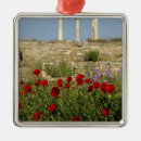 Suche nach malerische ornamente Niemand