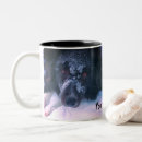 Suche nach border collie tassen Hund