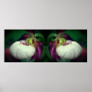 Recherche de orchidée blanche posters Pour elle