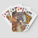 Recherche de rapace jeux de cartes Faucon