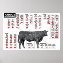 Recherche de boeuf posters Viande de boeuf