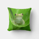 Recherche de grenouille verte coussins Photographe