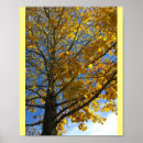 Suche nach herbstbaum poster Blätter