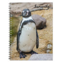 Suche nach pinguin kleine notizbücher Zurück zur schule