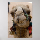 Suche nach hässliche tiere poster Lustig