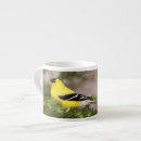 Recherche de goldfinch tasses Nature