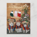 Recherche de minou de noël Humour