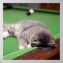 Suche nach tierthemen poster Horizontal