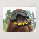Recherche de orang outan cartes postales Animaux