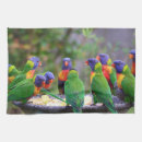 Recherche de perruche cuisine linges Oiseaux