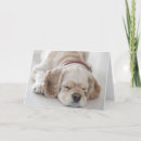 Suche nach sich hinlegen karten Fotografie