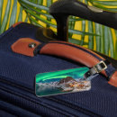 Suche nach nordlichter gepäckanhänger Eis