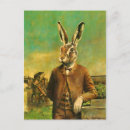 Suche nach kaninchen anzug postkarten Hare