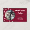 Recherche de cat cartes visite Chats