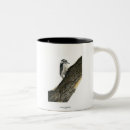 Recherche de pivert tasses Faune