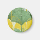 Suche nach ginkgo magnete Blatt