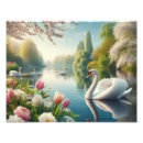 Recherche de lac cygne posters Nature