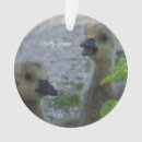 Recherche de bébé de pâques ornements Animaux
