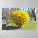 Suche nach bush poster Busch