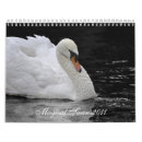 Suche nach magischer kalender Vögel