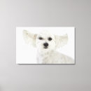 Suche nach winken poster Niedlich