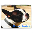 Recherche de boston terrier calendriers Terriers