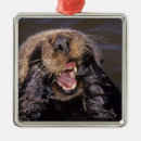 Recherche de loutres ornements Bradley