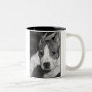 Suche nach pitbulls tassen Grube