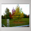Recherche de rural paysage posters Arbres