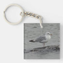 Suche nach möwen schlüsselanhänger Naturfotografie