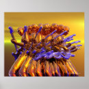 Suche nach abstrakte gitarre poster Gold