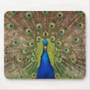 Suche nach feder mousepads Vogelvogel