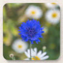Suche nach plastikuntersetzer Blumen
