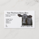 Suche nach angus rindfleisch visitenkarten Kuh