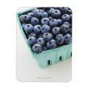 Recherche de myrtille magnets Nourriture