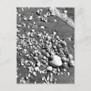 Recherche de vagues photographie Voyage