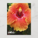 Suche nach aloha blumen postkarten Paradies