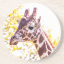 Recherche de verre girafe de dessous de dessous de verres Arbres
