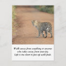 Recherche de la vie est courte cartes postales Motivation