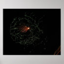 Suche nach glühen kunst Licht