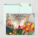 Recherche de citations papillon cartes postales Citer