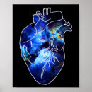 Suche nach anatomie poster Herz