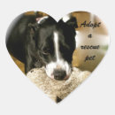 Suche nach adoption aufkleber Rettung