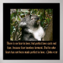 Suche nach cute koala poster Bear