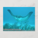 Suche nach klammern poster Meer