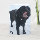 Suche nach tatze karten Schnee