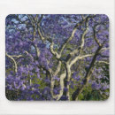 Suche nach blühende bäume mousepads Blüte